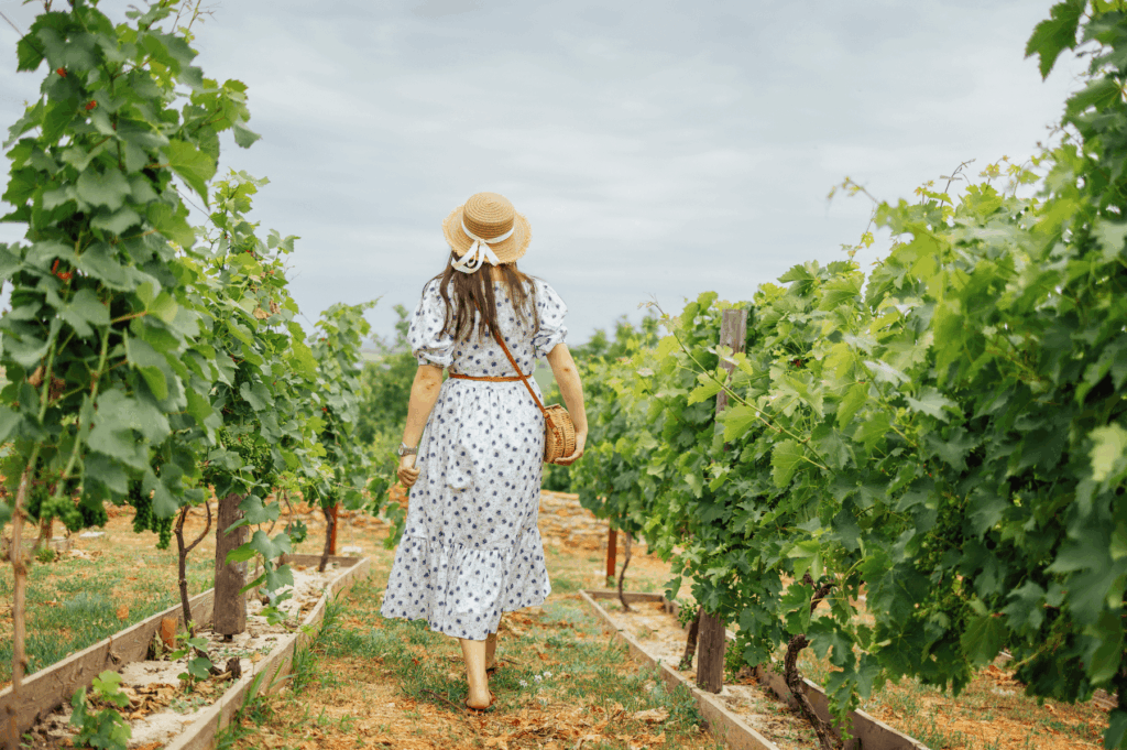 vineyard tour